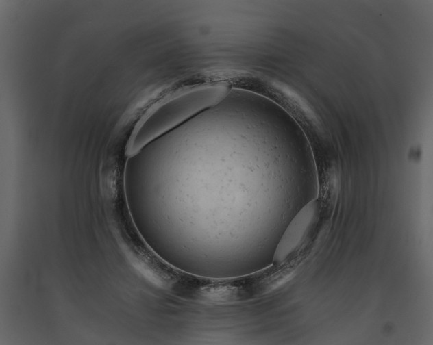 X0000091650452200708231225