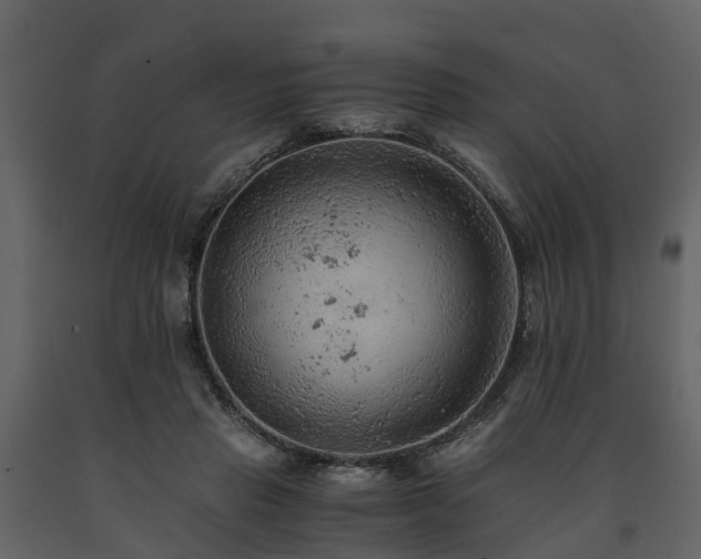 X0000091650453200708231225