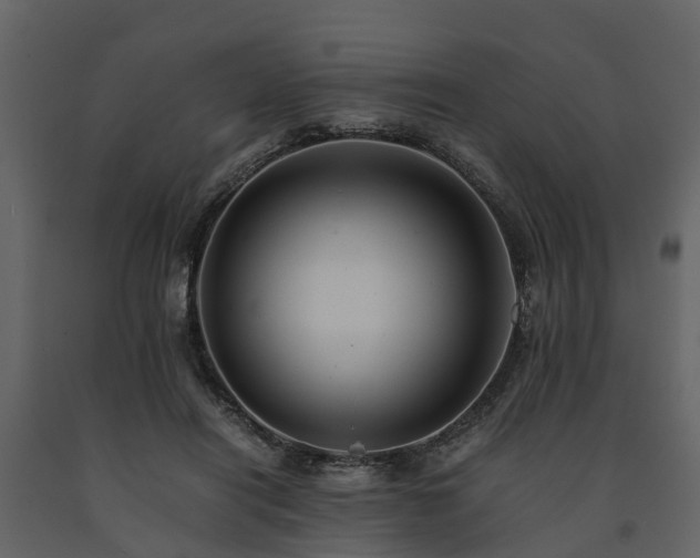 X0000091650454200708231225