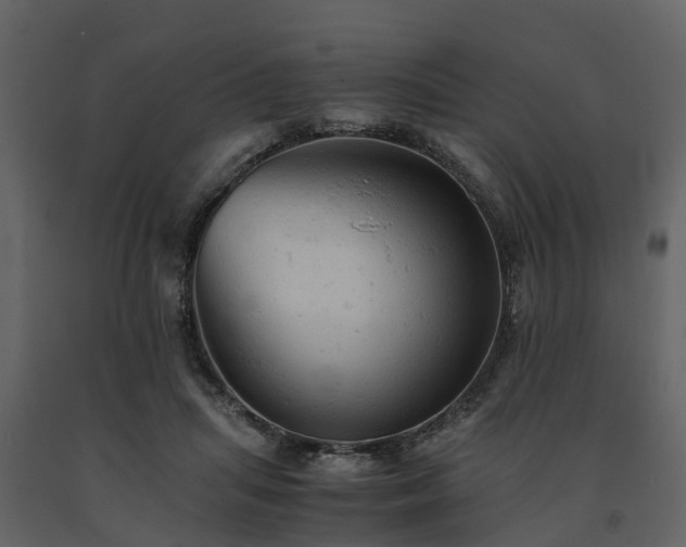 X0000091650455200708231225