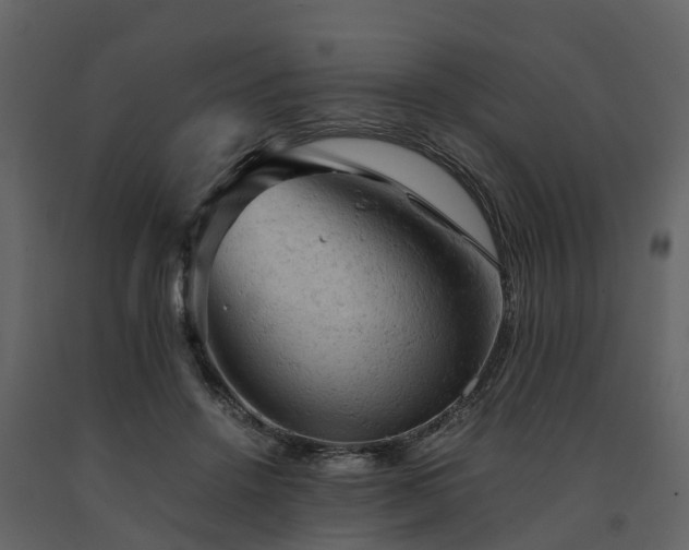 X0000091650456200708231225