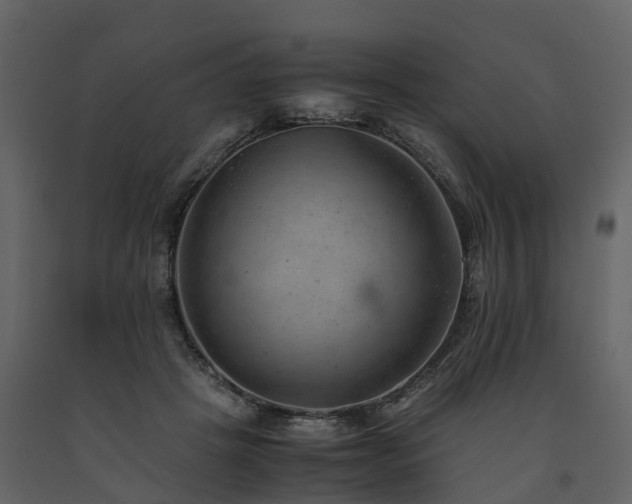 X0000091650457200708231225