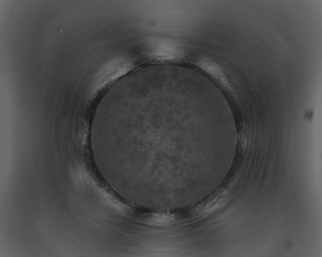 X0000091650458200708231225