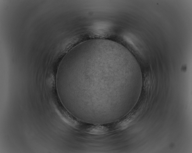 X0000091650459200708231225