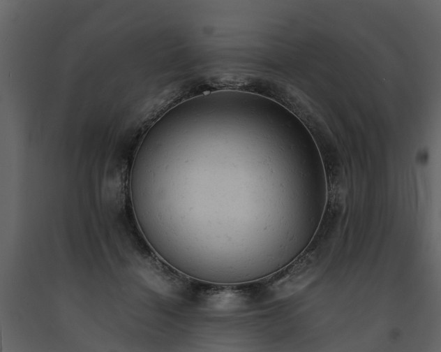 X0000091650460200708231225