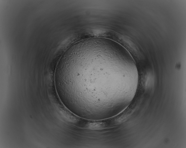 X0000091650461200708231225