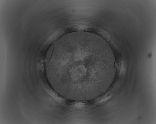 X0000091650462200708231225