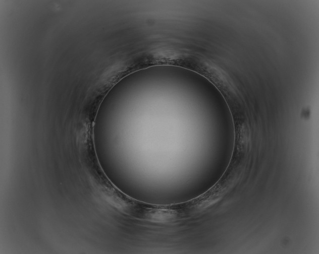 X0000091650463200708231225