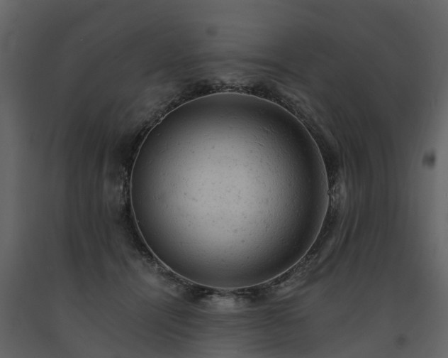 X0000091650464200708231225