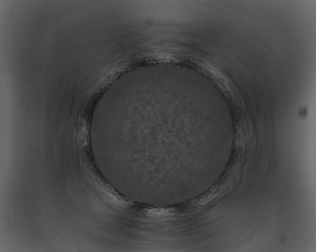 X0000091650465200708231225