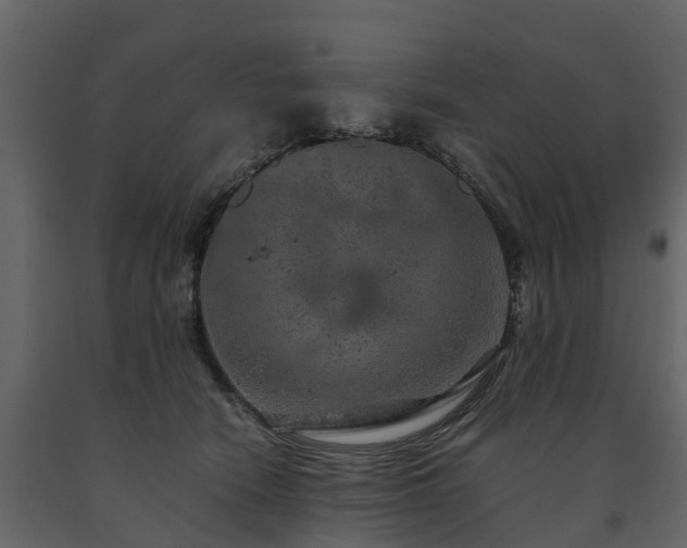 X0000091650466200708231225
