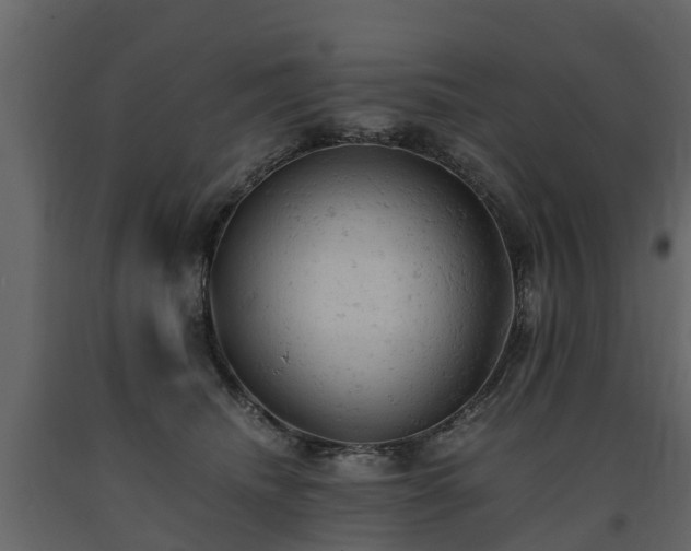 X0000091650468200708231225