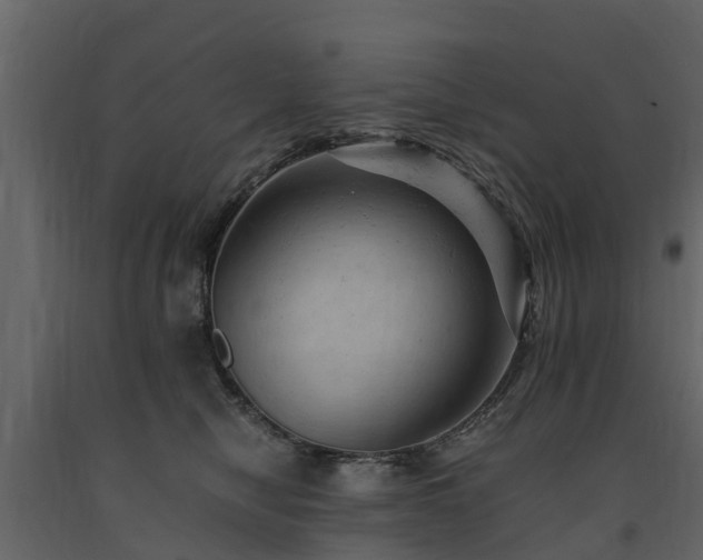 X0000091650470200708231225