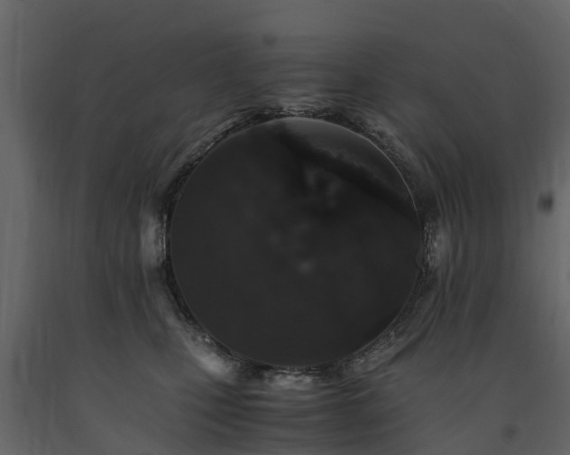 X0000091650471200708231225