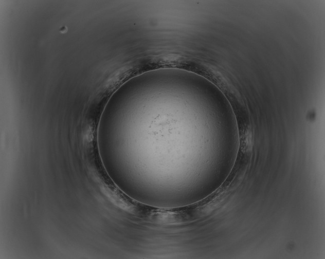 X0000091650472200708231225