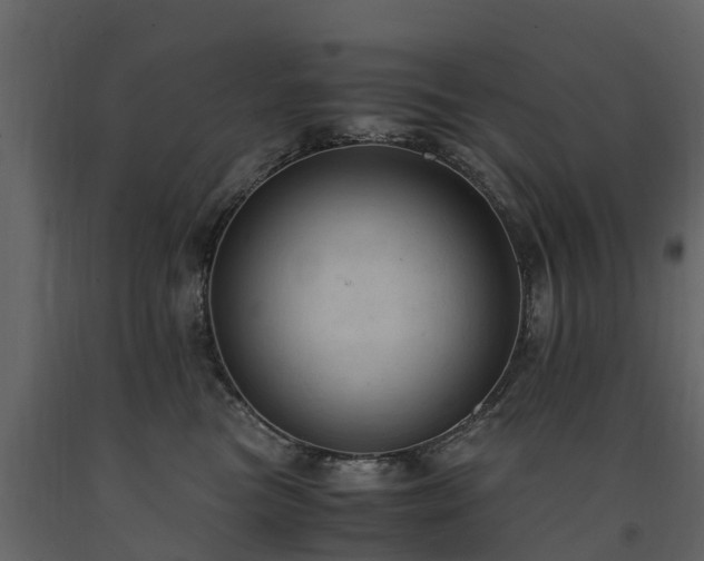 X0000091650473200708231225