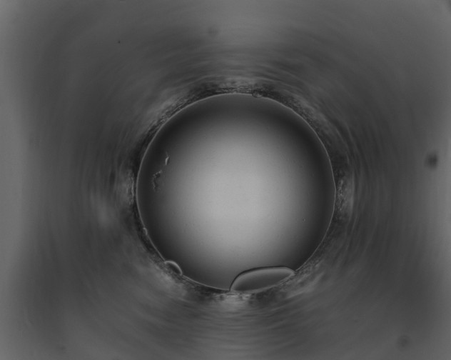 X0000091650474200708231225