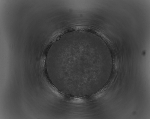 X0000091650475200708231225