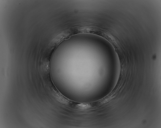 X0000091650477200708231225