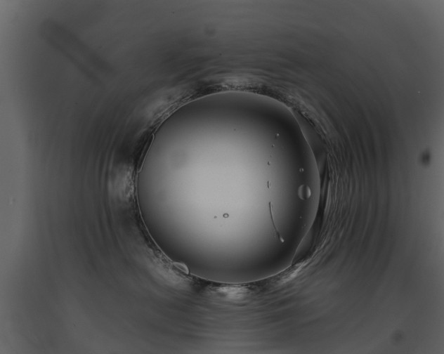 X0000091650478200708231225