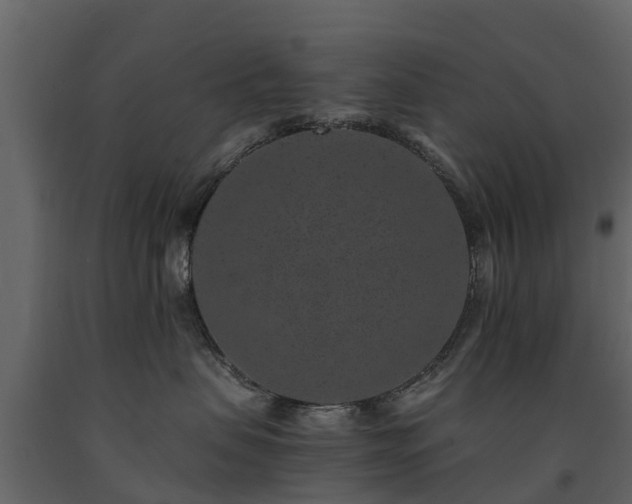 X0000091650479200708231225