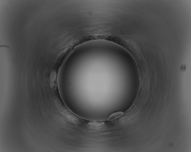 X0000091650480200708231225