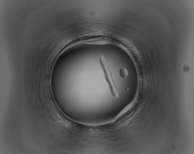 X0000091650481200708231225