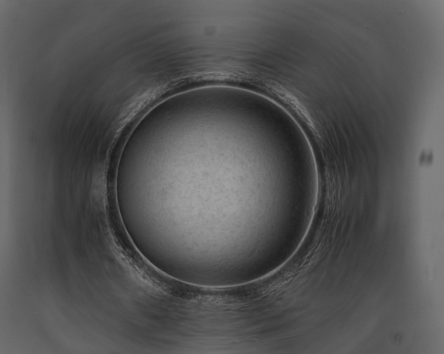 X0000091650482200708231224