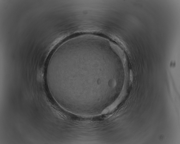 X0000091650483200708231224