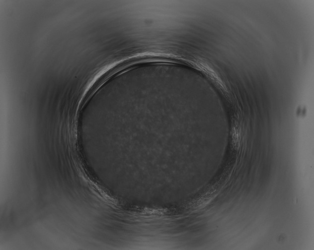 X0000091650484200708231224