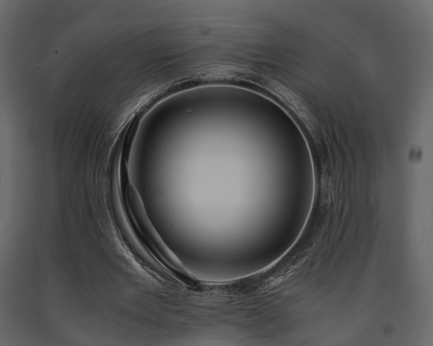 X0000091650485200708231224