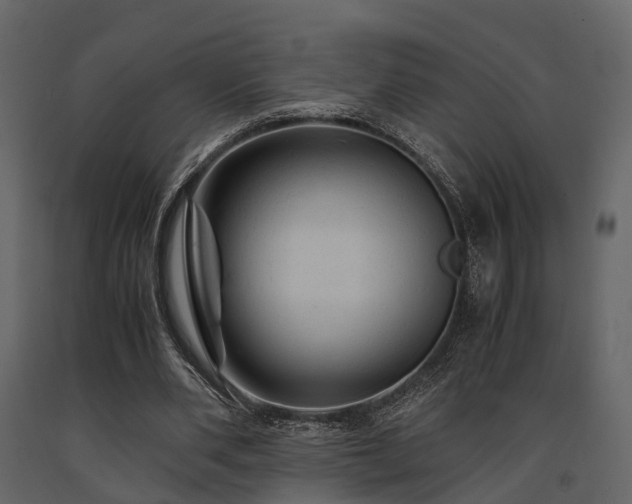 X0000091650486200708231224