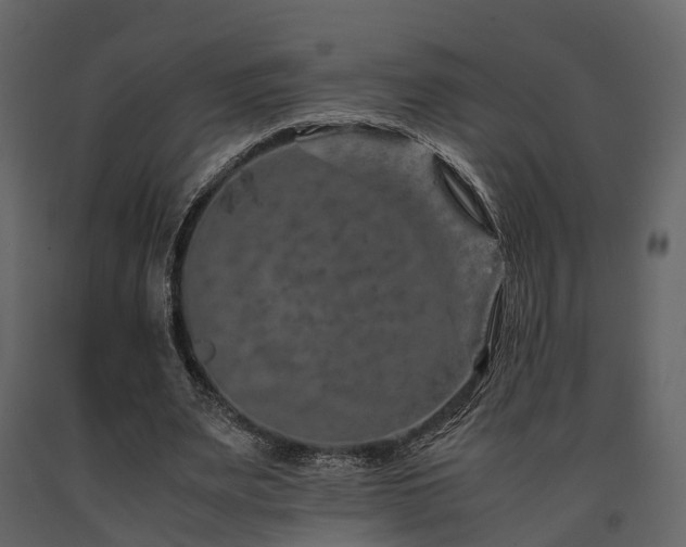 X0000091650487200708231224