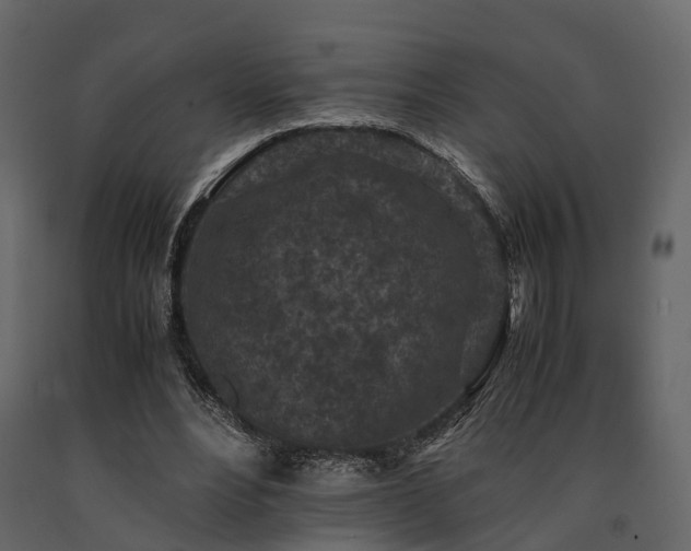 X0000091650488200708231224