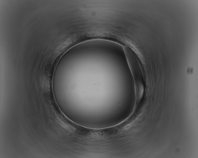 X0000091650489200708231224