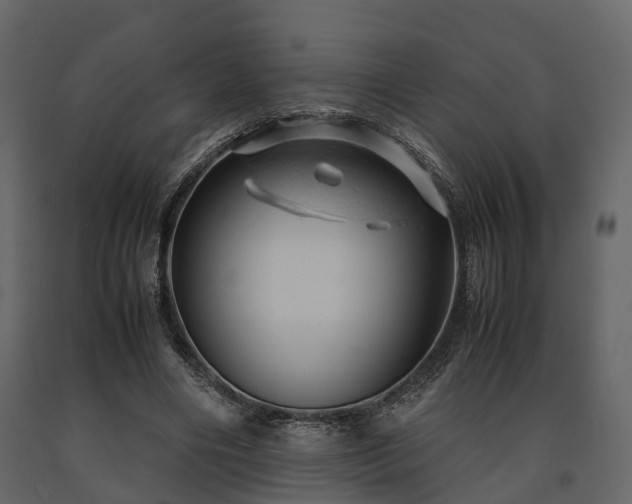 X0000091650490200708231224