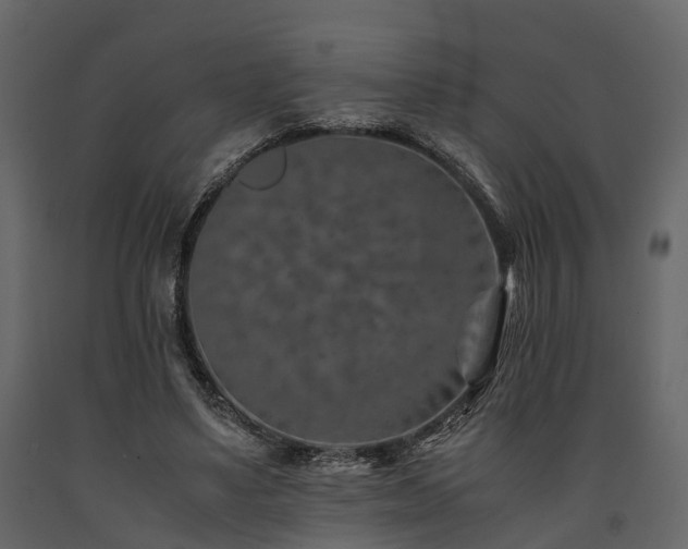 X0000091650491200708231224