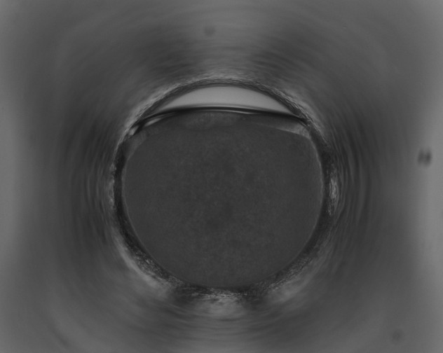 X0000091650492200708231224