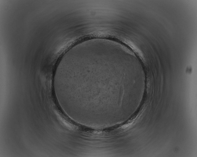X0000091650493200708231224