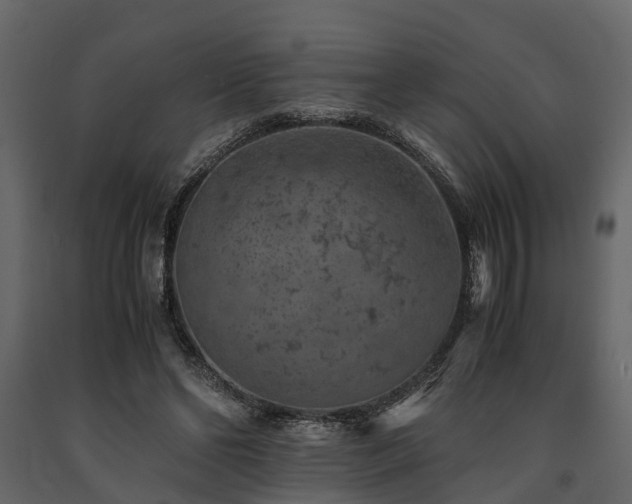 X0000091650494200708231224
