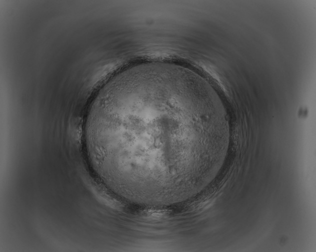 X0000091650495200708231224