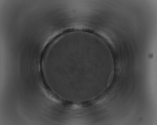 X0000091650496200708231224