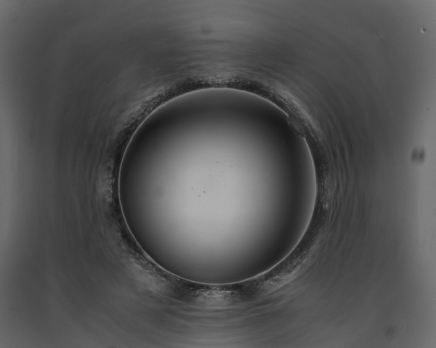 X0000091650497200708231224
