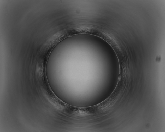 X0000091650498200708231224