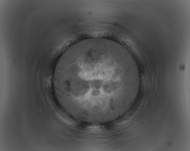 X0000091650499200708231224