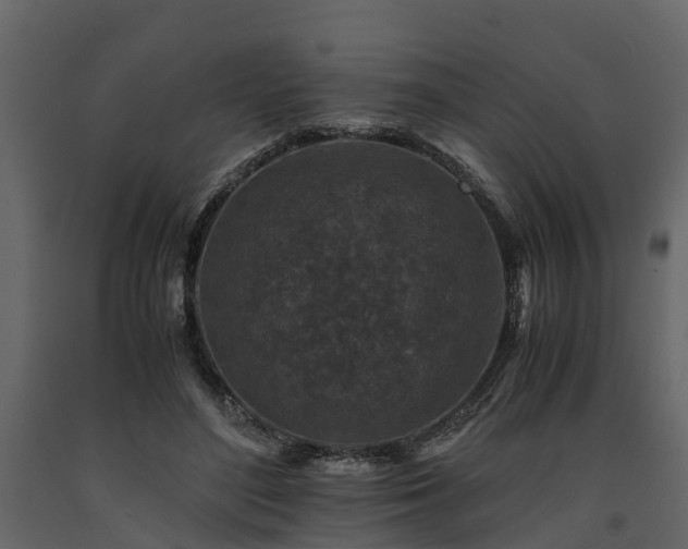 X0000091650500200708231224