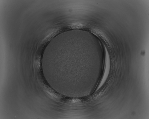X0000091650501200708231224