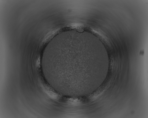 X0000091650502200708231224
