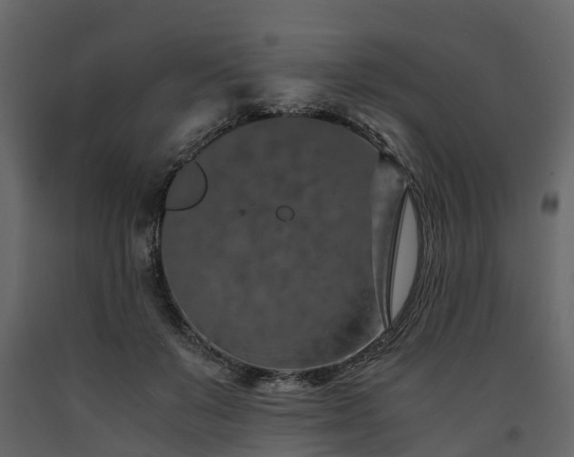 X0000091650503200708231224