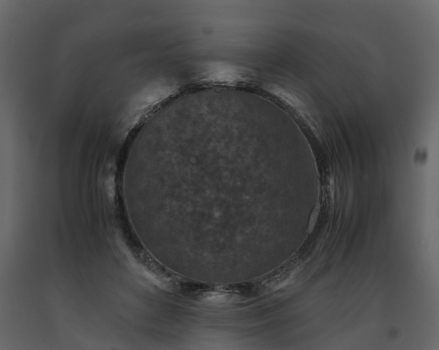 X0000091650504200708231224